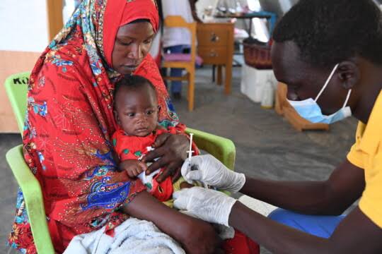 Borno CoP engages traditional leader to boost immunization efforts